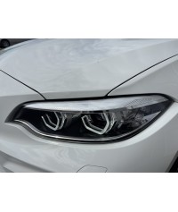 BMW M2 LCI F87